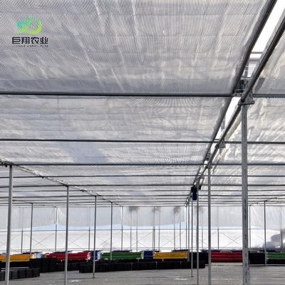Serra a luce solare a doppio arco per zone con neve pesante dotata di vibratore per neve
