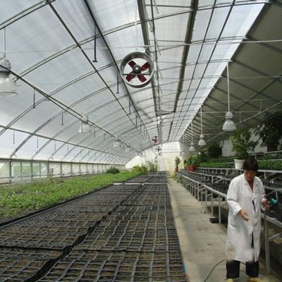 Metodo di riscaldamento continuo e coltivazione in galleria Serra agricola a pellicola di plastica