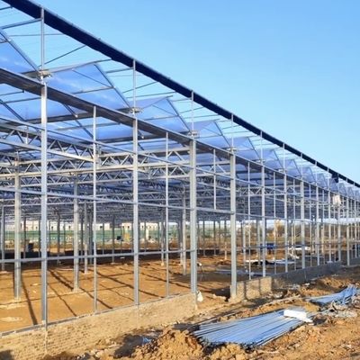 Sistema idroponico commerciale in serra personalizzazione e accessibilità a prezzi ragionevoli