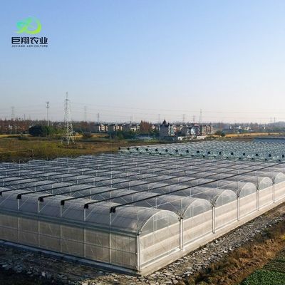 Serra a pellicola di galleria in plastica con altezza di 3-8 m per uso agricolo