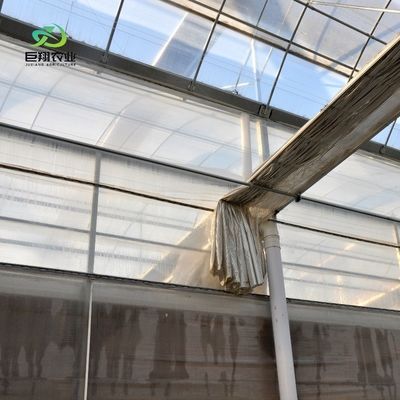 Serra a pellicola di galleria in plastica con altezza di 3-8 m per uso agricolo