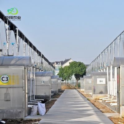 Terreno ad arco, galleria di plastica per agricoltura JX-PC
