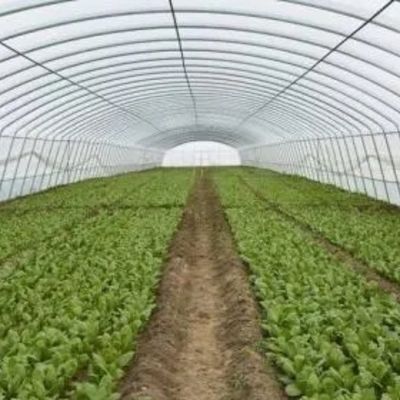 Terreno ad arco, galleria di plastica per agricoltura JX-PC