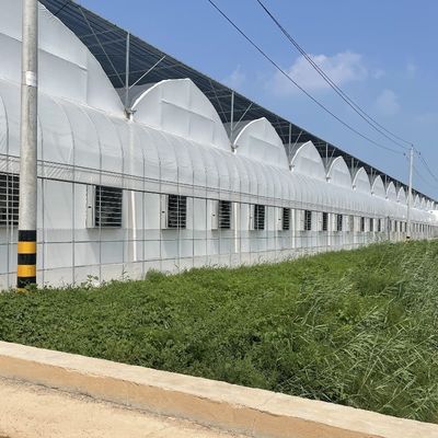 Richiesta personalizzata Serra per film di galleria in plastica per la produzione agricola multi-span