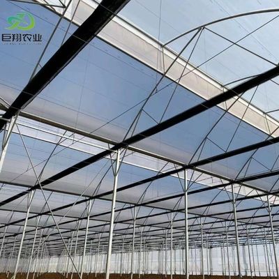 Richiesta personalizzata Serra per film di galleria in plastica per la produzione agricola multi-span
