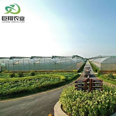 Richiesta personalizzata Serra per film di galleria in plastica per la produzione agricola multi-span