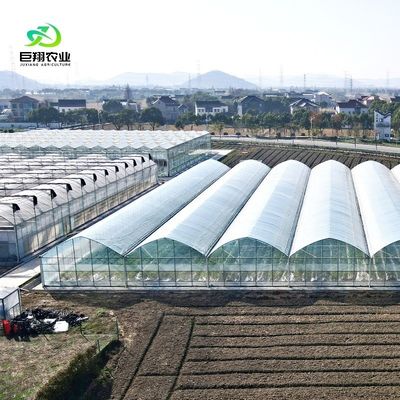 Richiesta personalizzata Serra per film di galleria in plastica per la produzione agricola multi-span