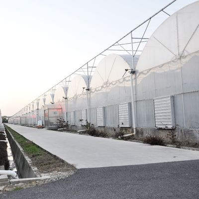 Richiesta personalizzata Serra per film di galleria in plastica per la produzione agricola multi-span