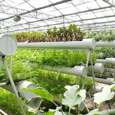 Personalizzazione del sistema idroponico in serra ad alto rendimento per la sostenibilità commerciale