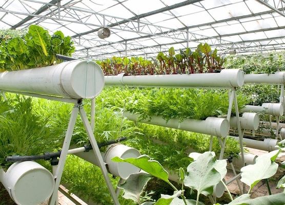 Impianto idroponico per serre a pellicola agricola con struttura in acciaio e capacità su larga scala