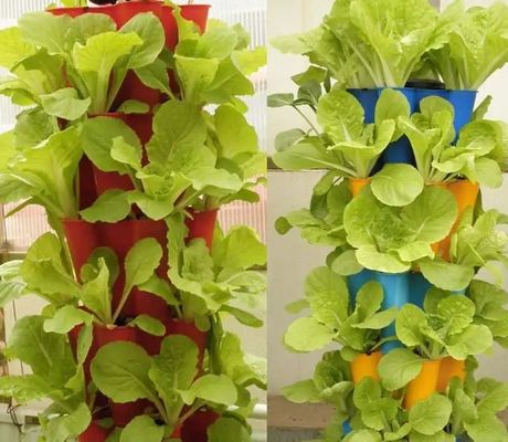 Impianto idroponico per serre a pellicola agricola con struttura in acciaio e capacità su larga scala