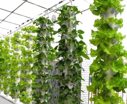 Impianto idroponico per serre a pellicola agricola con struttura in acciaio e capacità su larga scala