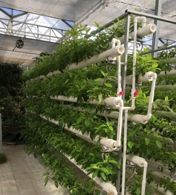 Impianto idroponico per serre a pellicola agricola con struttura in acciaio e capacità su larga scala