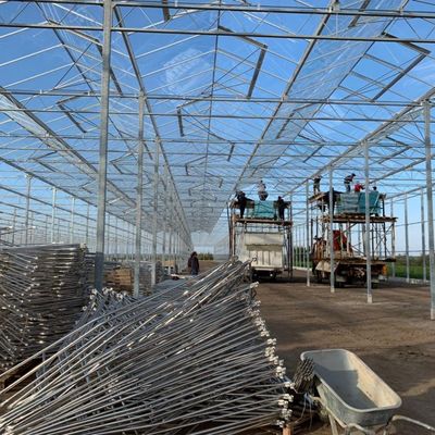 Sistema idroponico in serra di vetro Venlo per verdure fabbricate nei Paesi Bassi