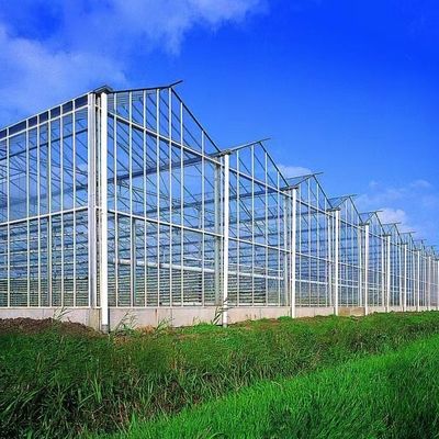 100.000kg Pacchetto Peso lordo Sistema idroponico a serra in vetro con irrigazione a goccia