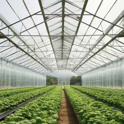 Sistema di coltivazione idroponica in serra con schermo ombroso Struttura in acciaio