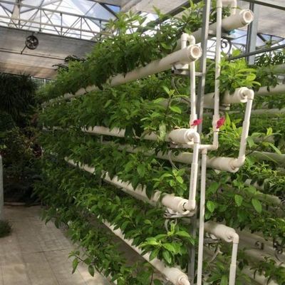 Sistema idroponico innovativo per la coltivazione in serra a pellicola Opzione di pagamento completo