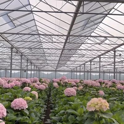 Sistema idroponico in serra a vetro per fiori a prezzi accessibili Costo di spedizione