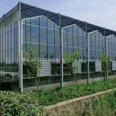 Sistema idroponico in serra a vetro per fiori a prezzi accessibili Costo di spedizione