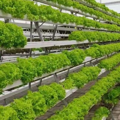 Sistema idroponico serra a pellicola di controllo del clima con riscaldamento temporaneo di Juxiang