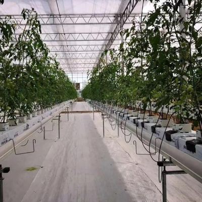 Installazione idroponica in serra di vetro per coltivazione tutto l'anno Costo di spedizione accessibile