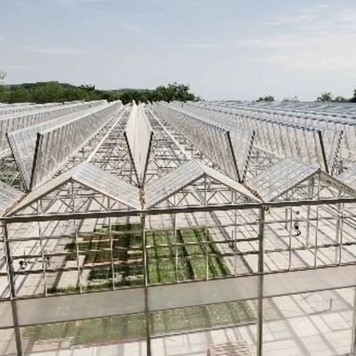 Sistema idroponico in serra di vetro a prezzi ragionevoli per le esigenze agricole su larga scala
