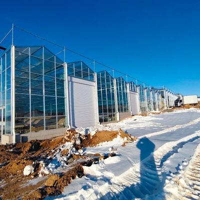 Origine Sistema idroponico in serra di vetro per la coltivazione di fiori US 20/mq