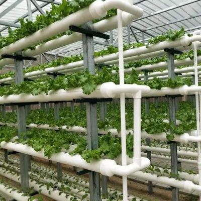 Soluzioni temporanee di riscaldamento per la coltivazione senza suolo