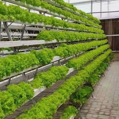 Soluzioni temporanee di riscaldamento per la coltivazione senza suolo