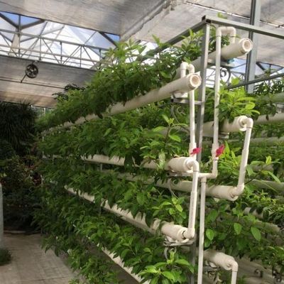 Soluzioni temporanee di riscaldamento per la coltivazione senza suolo