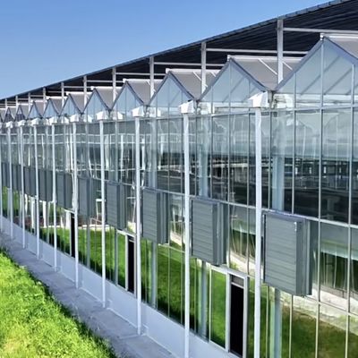 Sistema idroponico per serre in vetro multi-span per condizioni ottimali di crescita vegetale