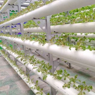 Sistema idroponico per serre agricole su larga scala con metodo di riscaldamento temporaneo