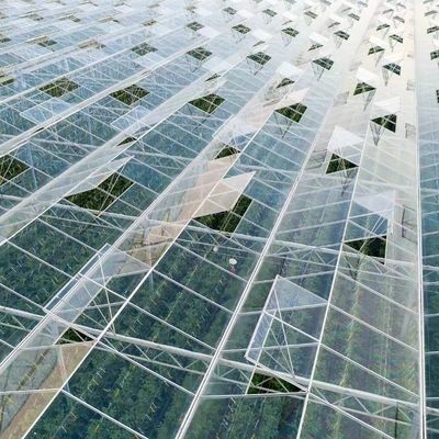 Sistema idroponico in vetro per irrigazione a goccia commerciale con personalizzazione