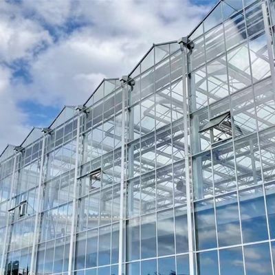 Hydroponics in serra con vetro a schermo multi-ombreggiamento per un migliore assorbimento dei nutrienti