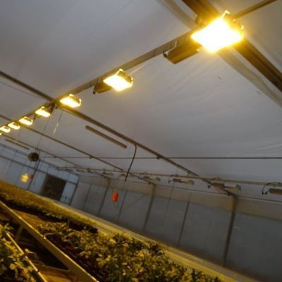 Ambiente controllato Serra per piante illuminata con copertura e illuminazione in vetro