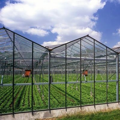 Sistema idroponico in serra con personalizzazione e 100.000 kg di peso lordo del pacchetto