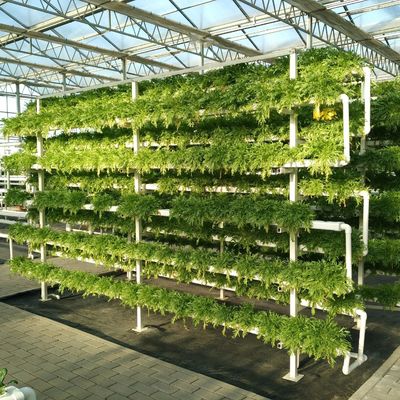 Float mono strato vetro cavo serra idroponica perfetto per l'agricoltura idroponica