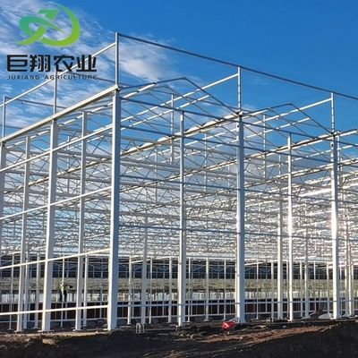 Vitro chiavi in mano e copertura della capacità produttiva Serra di produzione per l'agricoltura verticale