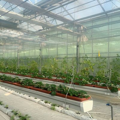 Impianto di serra a pellicola idroponica per la produzione di colture per tutto l'anno
