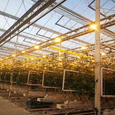 Serra per la coltivazione di sementi illuminata da una tenda bagnata e da opzioni personalizzabili