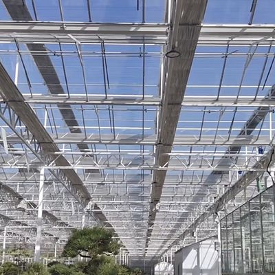 Serra agricola in vetro grande e in stile Venlo con sistema di controllo automatico