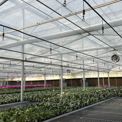 Serra agricola in vetro grande e in stile Venlo con sistema di controllo automatico