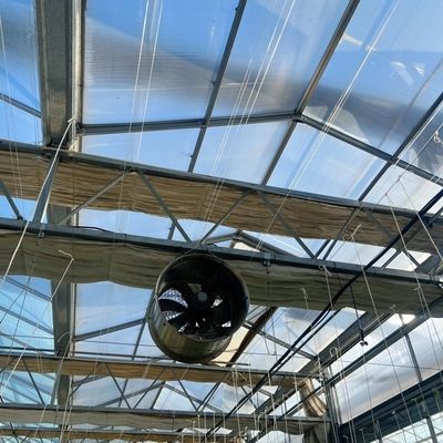 Serra agricola in vetro grande e in stile Venlo con sistema di controllo automatico