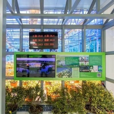 Serre su misura per l'agricoltura vetro commerciale/vetro temperante/vetro galleggiante