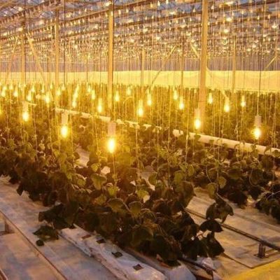 Serra di illuminazione controllata con spruzzo d'acqua a doppio strato per soluzioni di piantagione