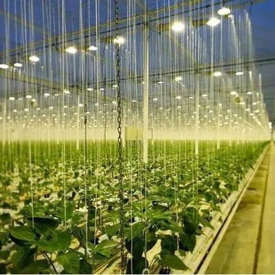 Copertura di vetro JX-GG-12 impianto di semina idroponica ombreggiata serra illuminata da Juxiang
