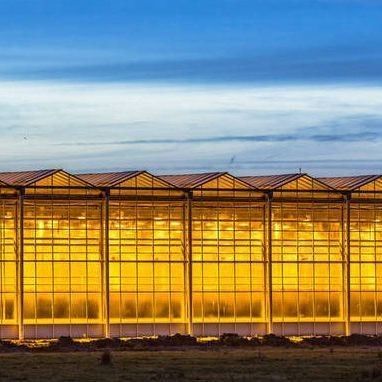 Copertura di vetro JX-GG-12 impianto di semina idroponica ombreggiata serra illuminata da Juxiang
