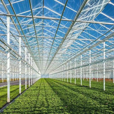 Metodo di coltivazione idroponica riscaldamento commerciale giardino serra di vetro per le piante