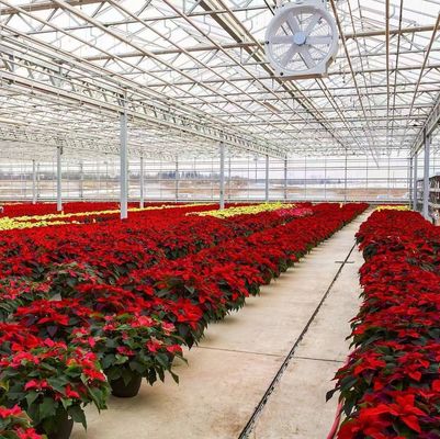 Metodo di coltivazione idroponica riscaldamento commerciale giardino serra di vetro per le piante