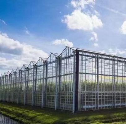 Metodo di coltivazione idroponica riscaldamento commerciale giardino serra di vetro per le piante